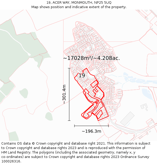 19, ACER WAY, MONMOUTH, NP25 5UQ: Plot and title map