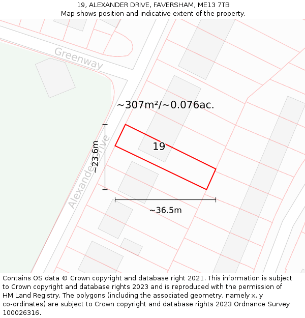 19, ALEXANDER DRIVE, FAVERSHAM, ME13 7TB: Plot and title map