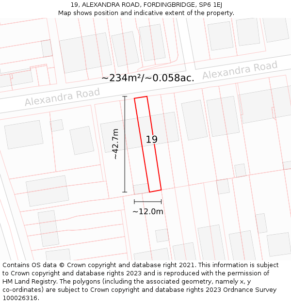 19, ALEXANDRA ROAD, FORDINGBRIDGE, SP6 1EJ: Plot and title map