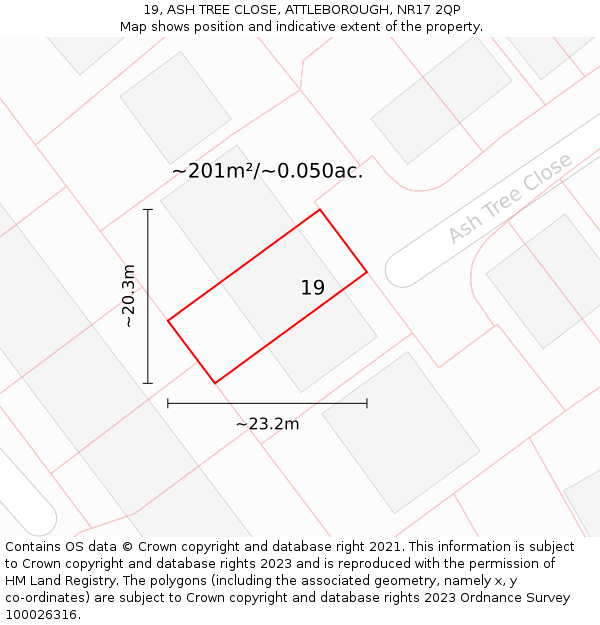 19, ASH TREE CLOSE, ATTLEBOROUGH, NR17 2QP: Plot and title map