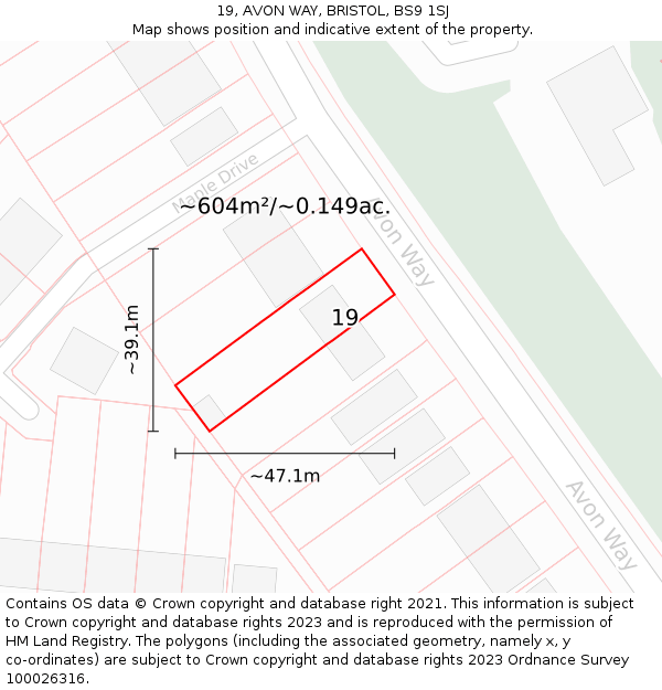 19, AVON WAY, BRISTOL, BS9 1SJ: Plot and title map
