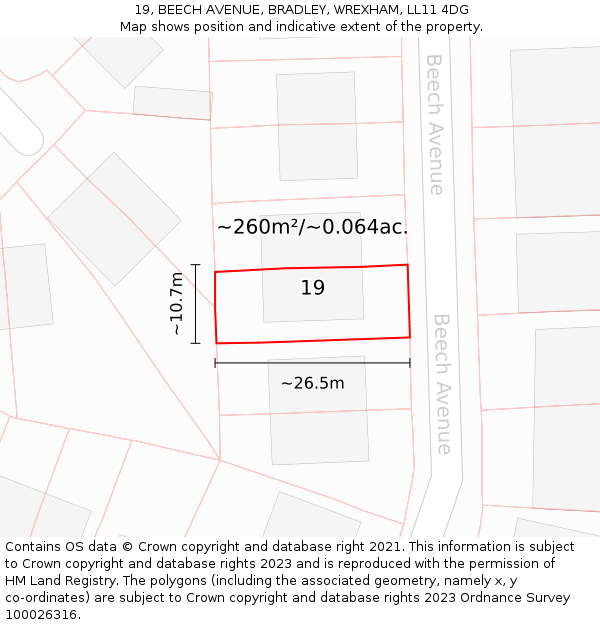 19, BEECH AVENUE, BRADLEY, WREXHAM, LL11 4DG: Plot and title map