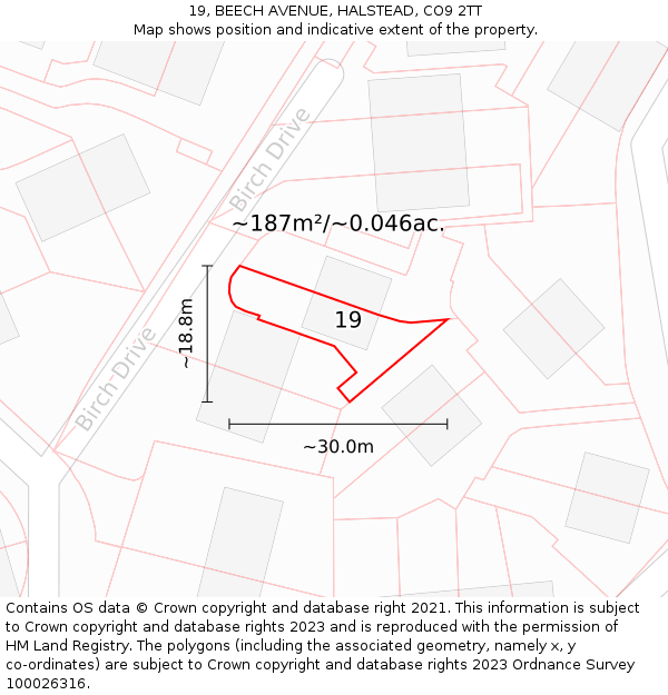 19, BEECH AVENUE, HALSTEAD, CO9 2TT: Plot and title map