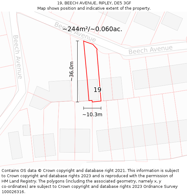 19, BEECH AVENUE, RIPLEY, DE5 3GF: Plot and title map