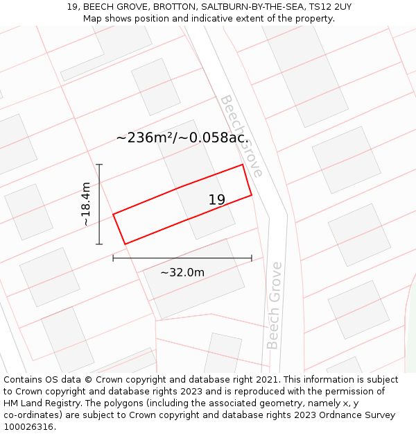 19, BEECH GROVE, BROTTON, SALTBURN-BY-THE-SEA, TS12 2UY: Plot and title map