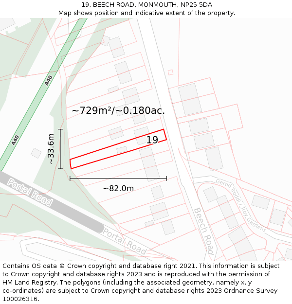 19, BEECH ROAD, MONMOUTH, NP25 5DA: Plot and title map
