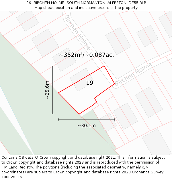 19, BIRCHEN HOLME, SOUTH NORMANTON, ALFRETON, DE55 3LR: Plot and title map