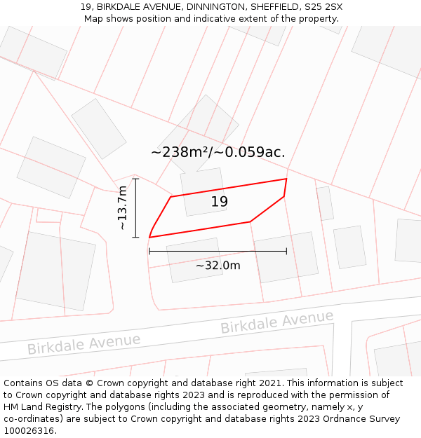 19, BIRKDALE AVENUE, DINNINGTON, SHEFFIELD, S25 2SX: Plot and title map