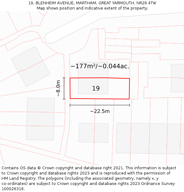 19, BLENHEIM AVENUE, MARTHAM, GREAT YARMOUTH, NR29 4TW: Plot and title map