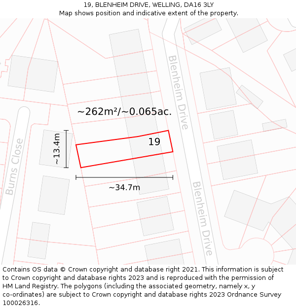 19, BLENHEIM DRIVE, WELLING, DA16 3LY: Plot and title map