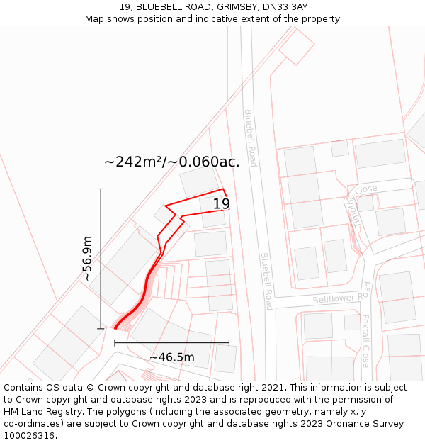 19, BLUEBELL ROAD, GRIMSBY, DN33 3AY: Plot and title map