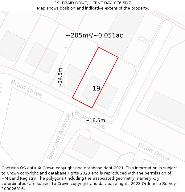 19, BRAID DRIVE, HERNE BAY, CT6 5DZ: Plot and title map