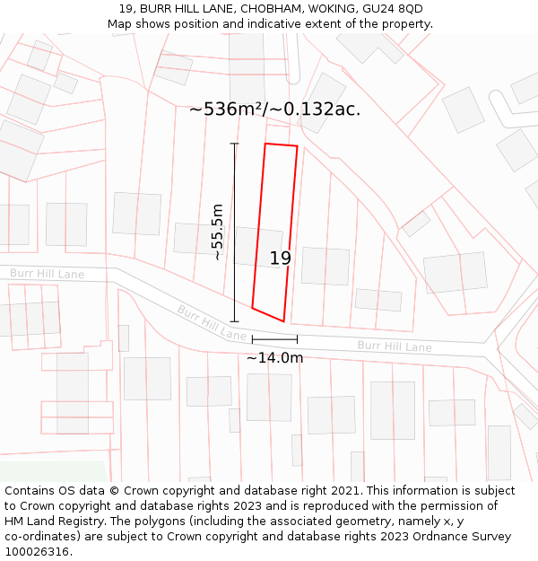19, BURR HILL LANE, CHOBHAM, WOKING, GU24 8QD: Plot and title map