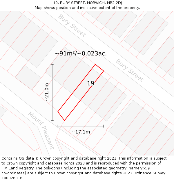 19, BURY STREET, NORWICH, NR2 2DJ: Plot and title map