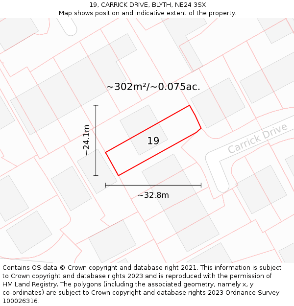 19, CARRICK DRIVE, BLYTH, NE24 3SX: Plot and title map