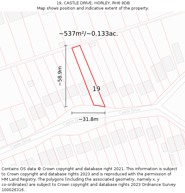 19, CASTLE DRIVE, HORLEY, RH6 9DB: Plot and title map
