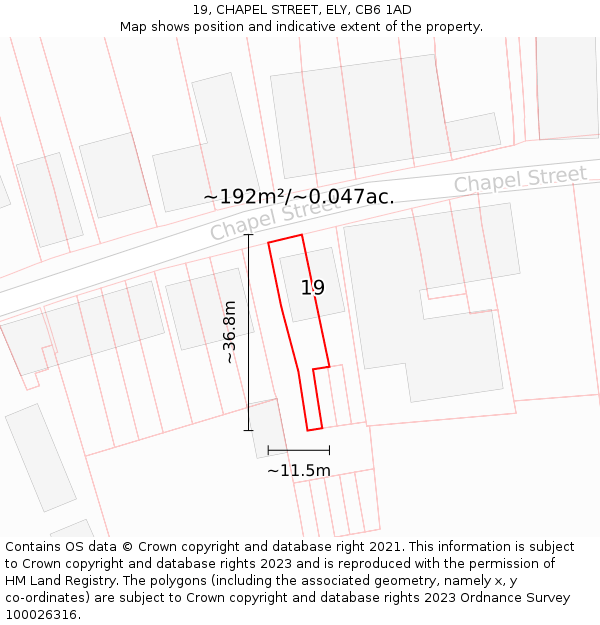 19, CHAPEL STREET, ELY, CB6 1AD: Plot and title map