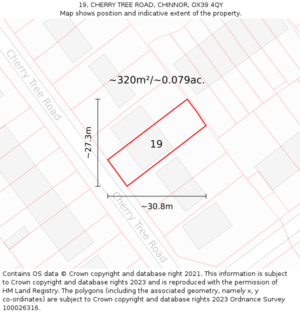 19, CHERRY TREE ROAD, CHINNOR, OX39 4QY: Plot and title map