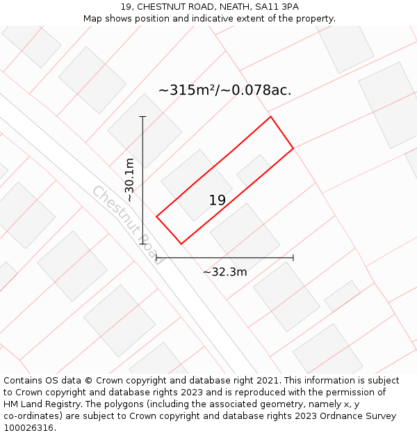 19, CHESTNUT ROAD, NEATH, SA11 3PA: Plot and title map