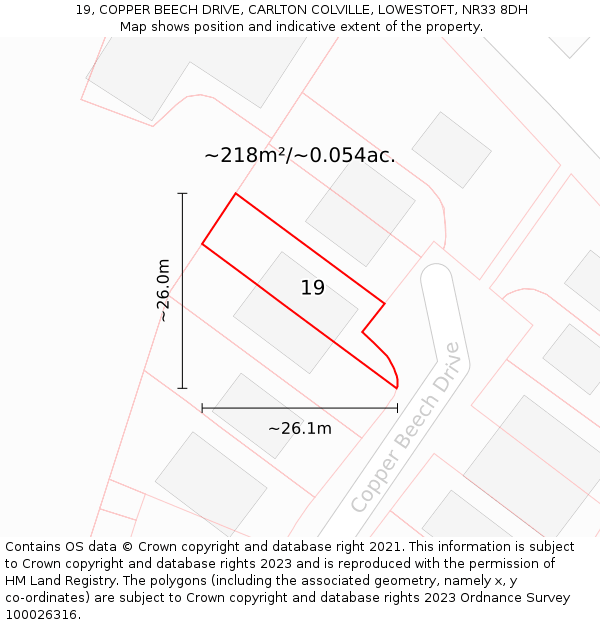 19, COPPER BEECH DRIVE, CARLTON COLVILLE, LOWESTOFT, NR33 8DH: Plot and title map