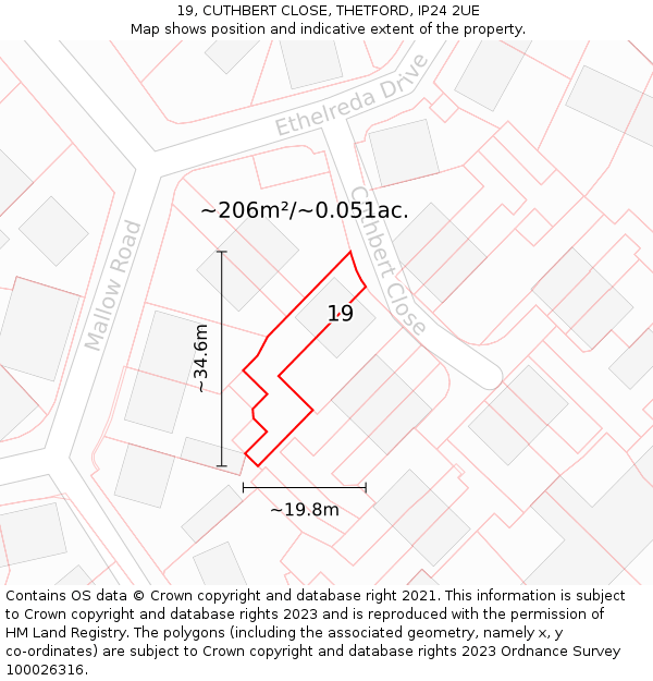 19, CUTHBERT CLOSE, THETFORD, IP24 2UE: Plot and title map