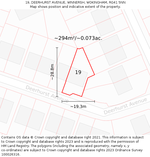 19, DEERHURST AVENUE, WINNERSH, WOKINGHAM, RG41 5NN: Plot and title map