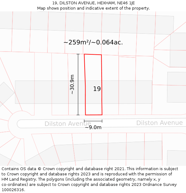 19, DILSTON AVENUE, HEXHAM, NE46 1JE: Plot and title map