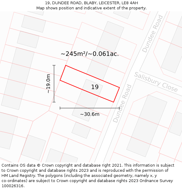 19, DUNDEE ROAD, BLABY, LEICESTER, LE8 4AH: Plot and title map