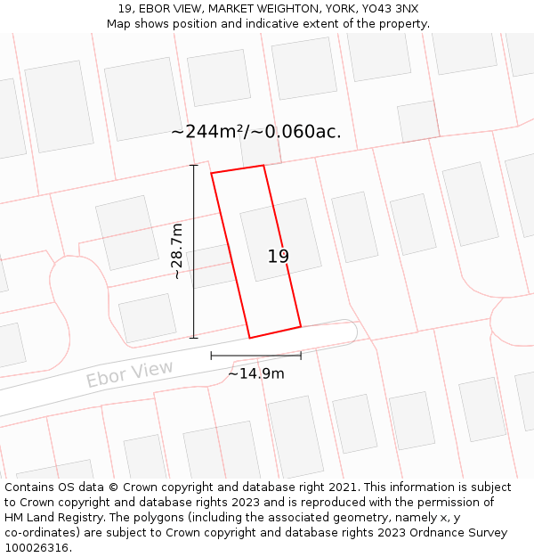 19, EBOR VIEW, MARKET WEIGHTON, YORK, YO43 3NX: Plot and title map