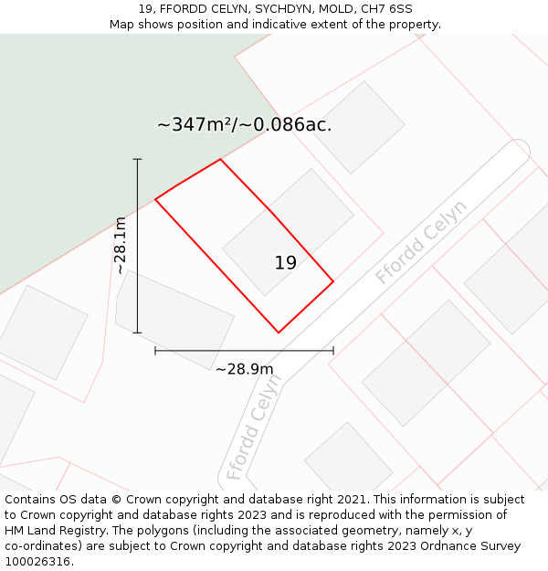 19, FFORDD CELYN, SYCHDYN, MOLD, CH7 6SS: Plot and title map