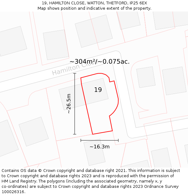 19, HAMILTON CLOSE, WATTON, THETFORD, IP25 6EX: Plot and title map