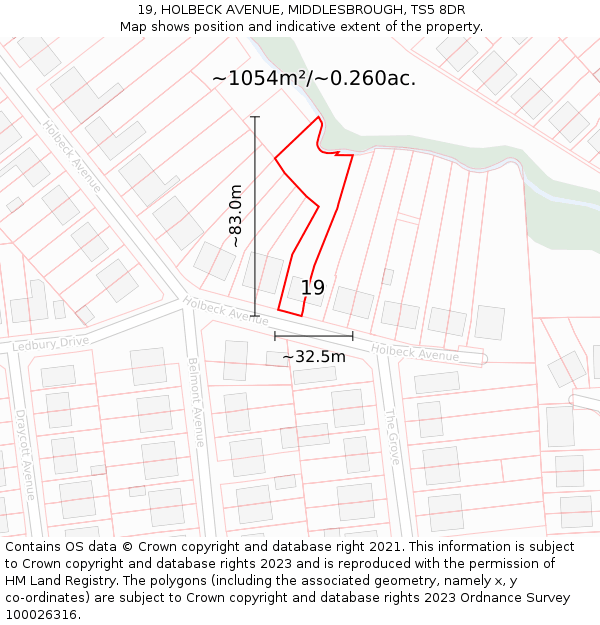 19, HOLBECK AVENUE, MIDDLESBROUGH, TS5 8DR: Plot and title map