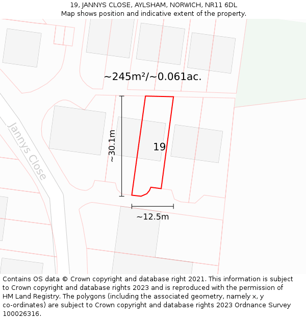 19, JANNYS CLOSE, AYLSHAM, NORWICH, NR11 6DL: Plot and title map