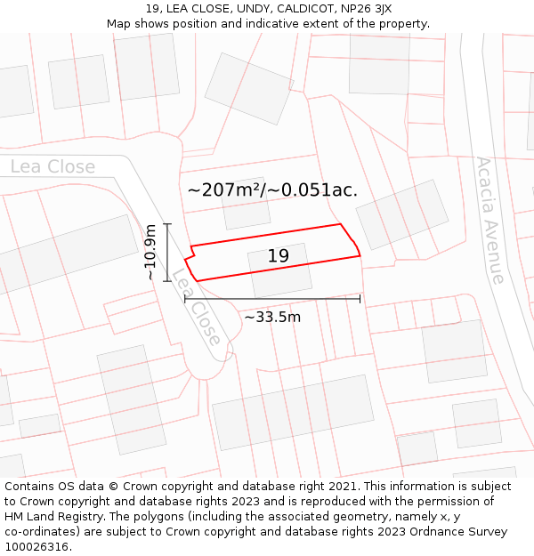 19, LEA CLOSE, UNDY, CALDICOT, NP26 3JX: Plot and title map