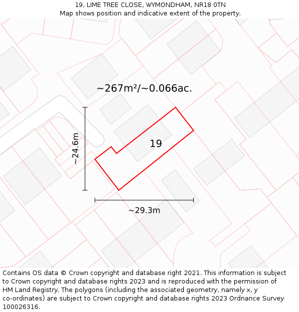 19, LIME TREE CLOSE, WYMONDHAM, NR18 0TN: Plot and title map