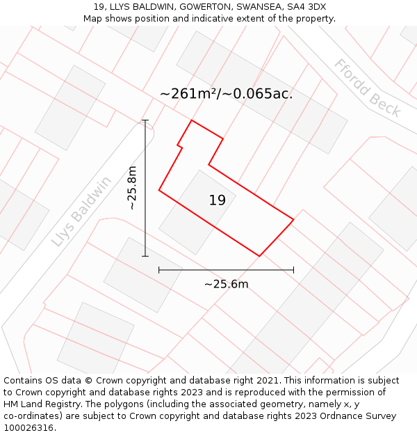 19, LLYS BALDWIN, GOWERTON, SWANSEA, SA4 3DX: Plot and title map