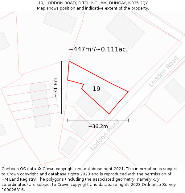 19, LODDON ROAD, DITCHINGHAM, BUNGAY, NR35 2QY: Plot and title map