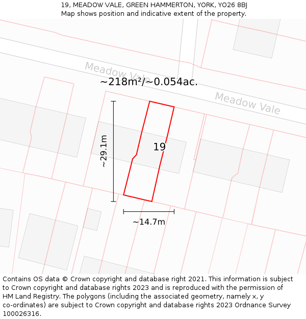 19, MEADOW VALE, GREEN HAMMERTON, YORK, YO26 8BJ: Plot and title map