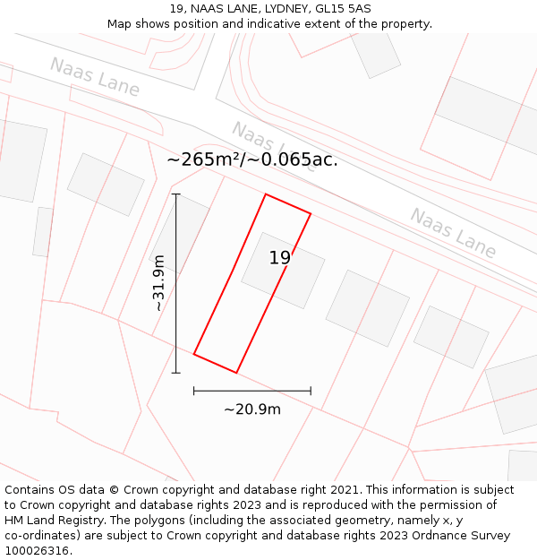 19, NAAS LANE, LYDNEY, GL15 5AS: Plot and title map
