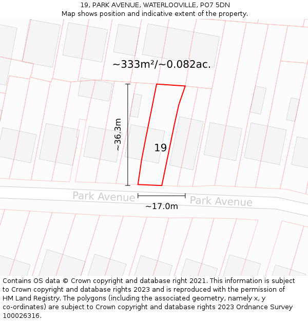19, PARK AVENUE, WATERLOOVILLE, PO7 5DN: Plot and title map