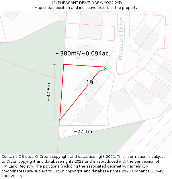 19, PHEASANT DRIVE, YORK, YO24 2YD: Plot and title map