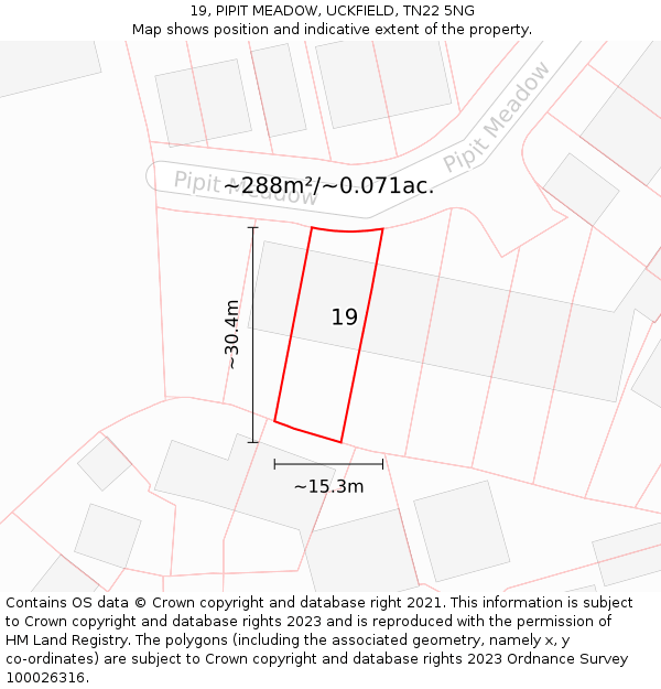 19, PIPIT MEADOW, UCKFIELD, TN22 5NG: Plot and title map