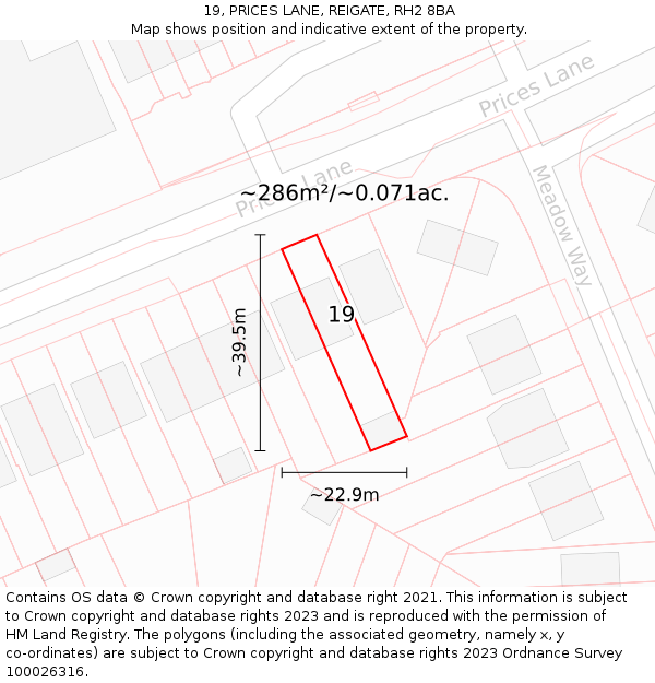 19, PRICES LANE, REIGATE, RH2 8BA: Plot and title map