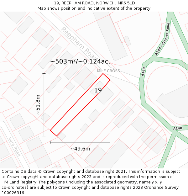 19, REEPHAM ROAD, NORWICH, NR6 5LD: Plot and title map