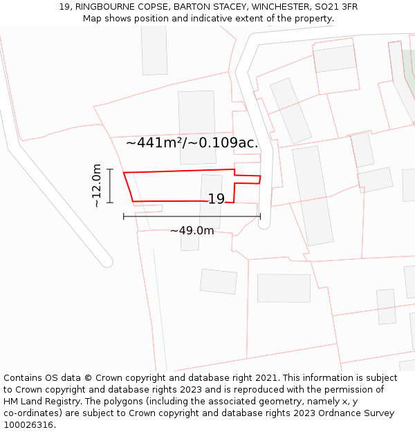 19, RINGBOURNE COPSE, BARTON STACEY, WINCHESTER, SO21 3FR: Plot and title map