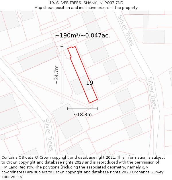 19, SILVER TREES, SHANKLIN, PO37 7ND: Plot and title map