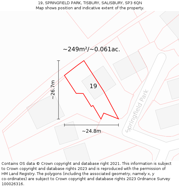 19, SPRINGFIELD PARK, TISBURY, SALISBURY, SP3 6QN: Plot and title map