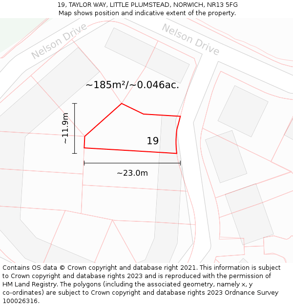 19, TAYLOR WAY, LITTLE PLUMSTEAD, NORWICH, NR13 5FG: Plot and title map