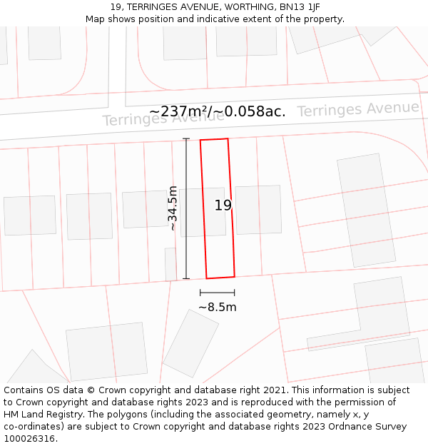 19, TERRINGES AVENUE, WORTHING, BN13 1JF: Plot and title map