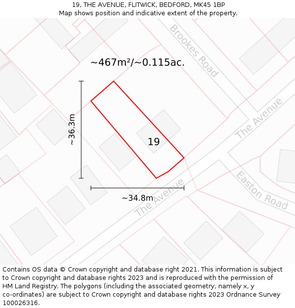 19, THE AVENUE, FLITWICK, BEDFORD, MK45 1BP: Plot and title map